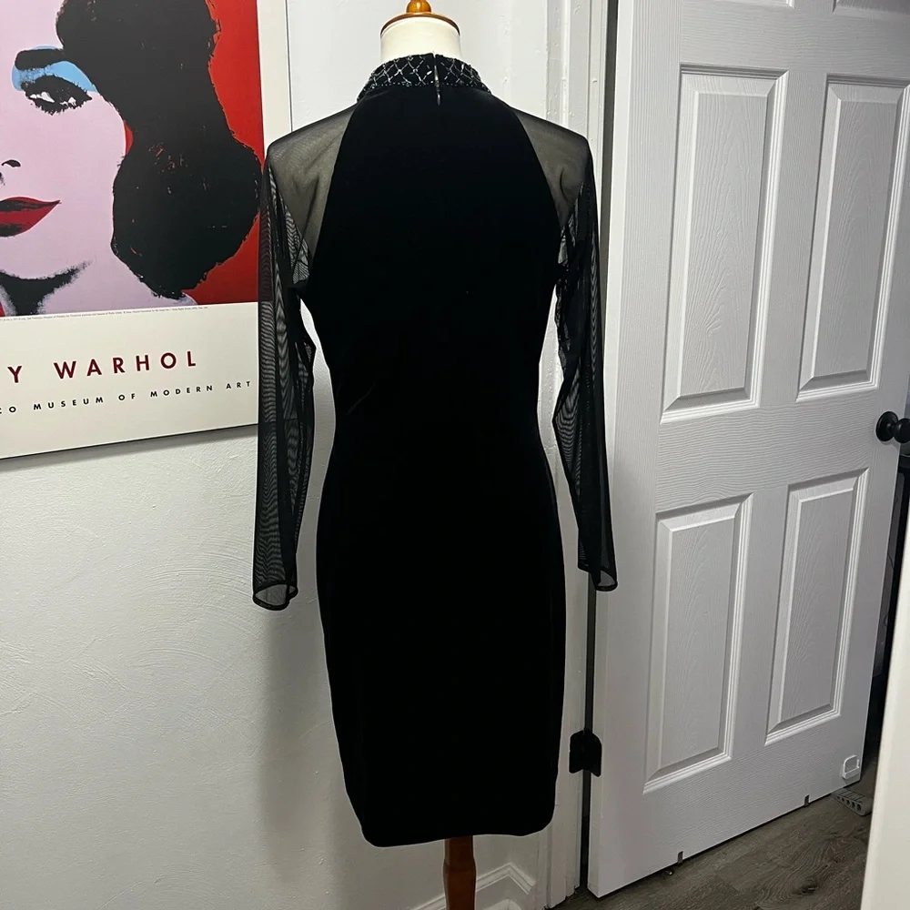 Vintage Velvet Black Dress with Sheer Sleeves - Picture 2 of 8